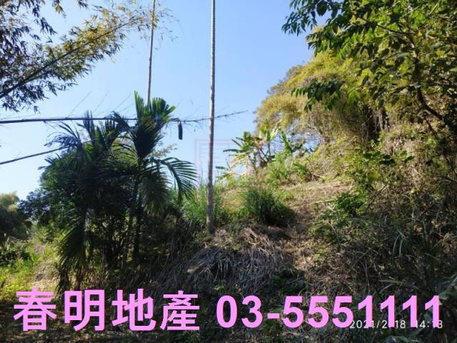 芎林農地-7