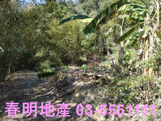 芎林農地-8