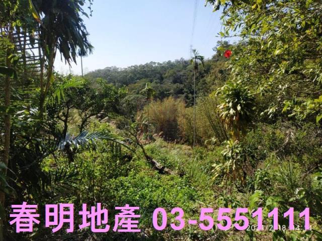 芎林農地-9