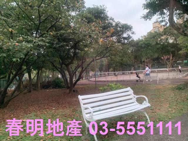 楊梅建地-7