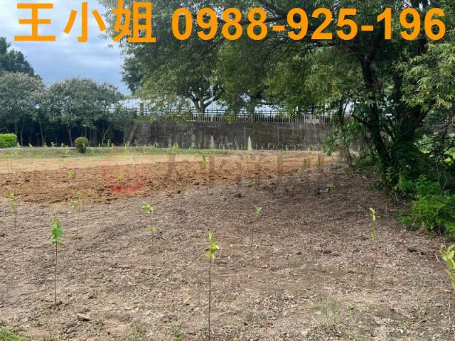 桃園農地-12