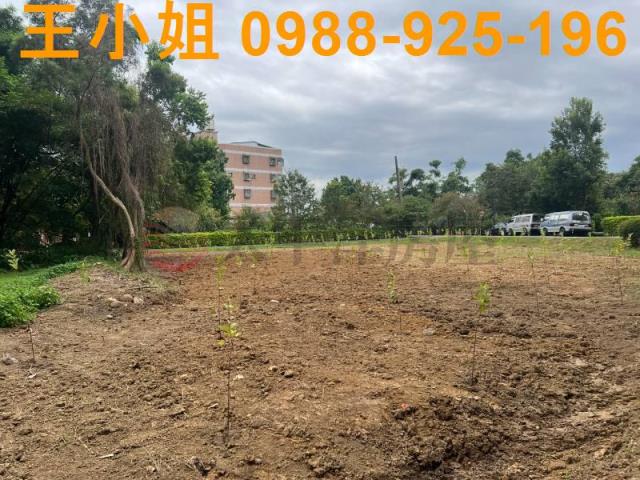 桃園農地-4