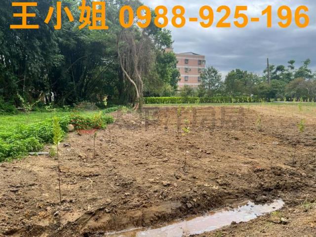 桃園農地-5