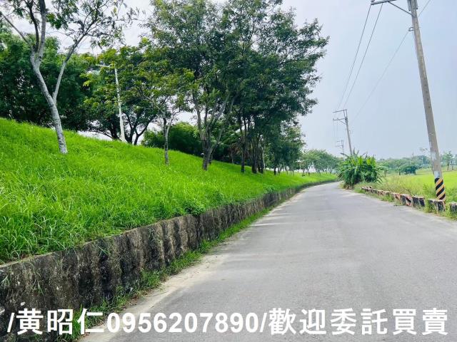 台南仁德農地-1