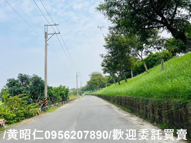 台南仁德農地-2