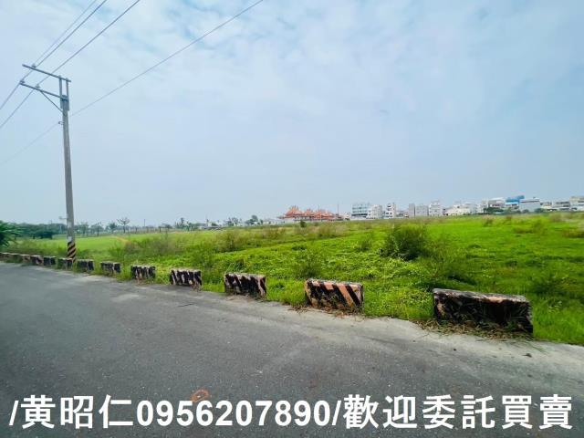 台南仁德農地-4