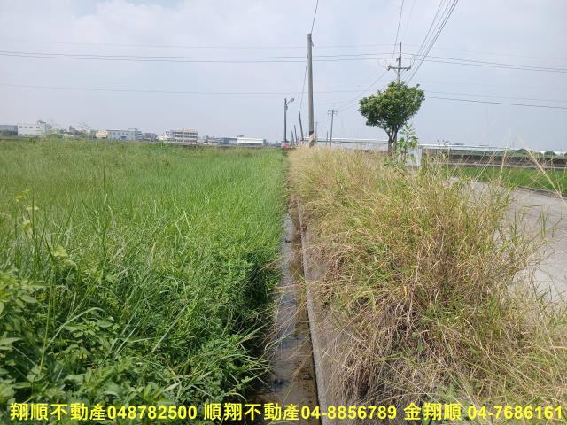 彰化花壇農地-10