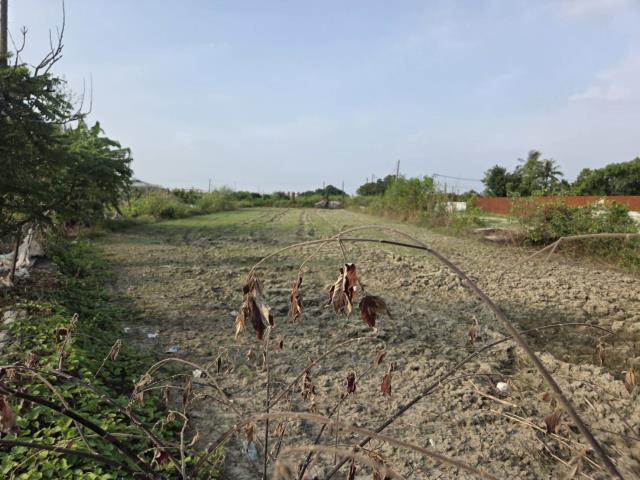 高雄梓官農地-1