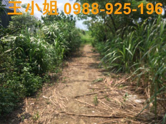 桃園桃園區農地-1