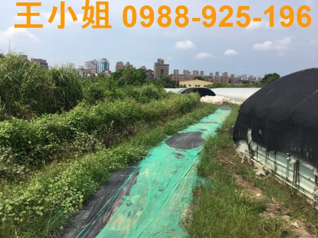 桃園桃園區農地-2