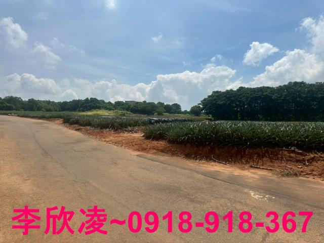 台中沙鹿農地-4