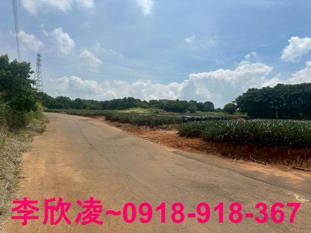 台中沙鹿農地-5