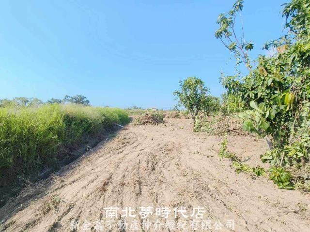 台南農地-4