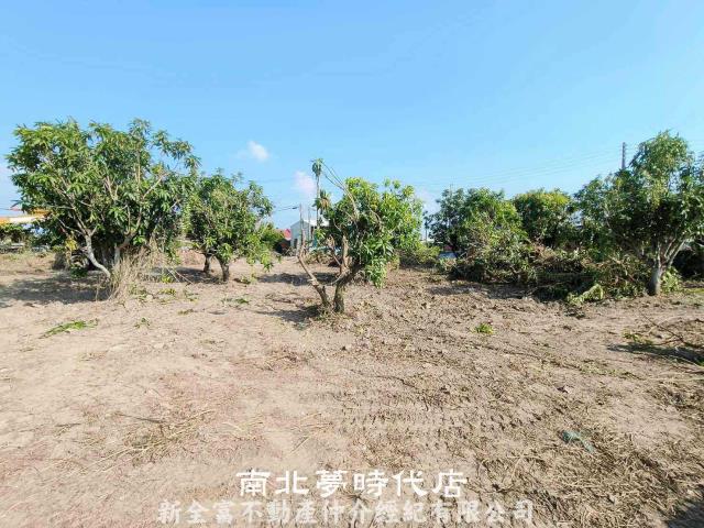 台南農地-5
