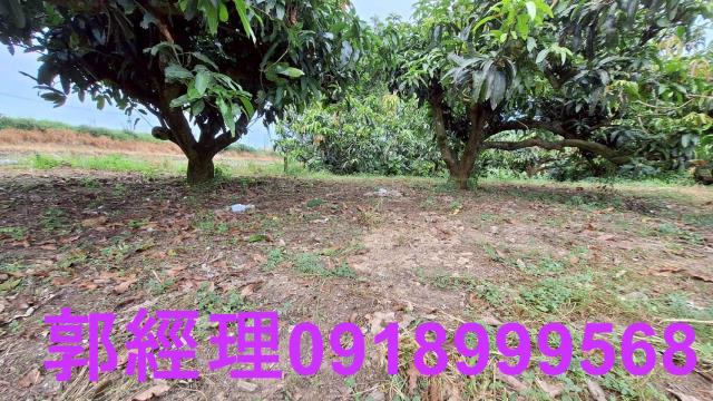 官田農地-10