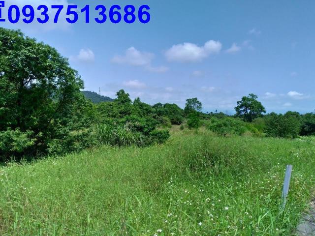 冬山農地-4