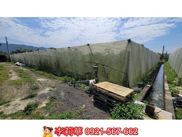 旗山農地-8