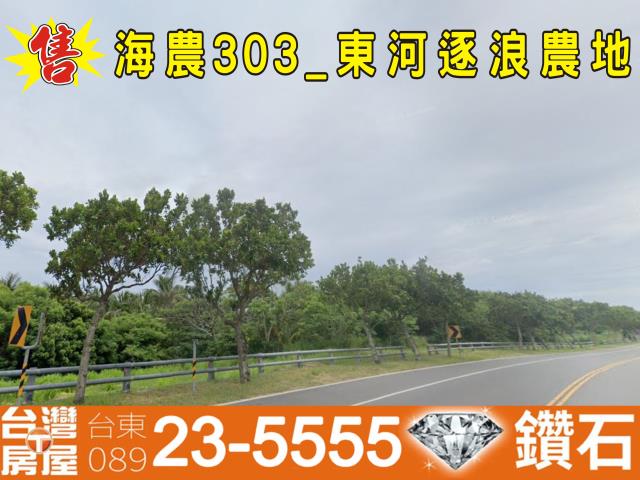 台東關山農地-2
