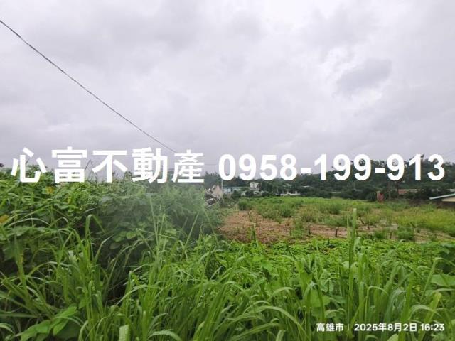 大樹農地-1