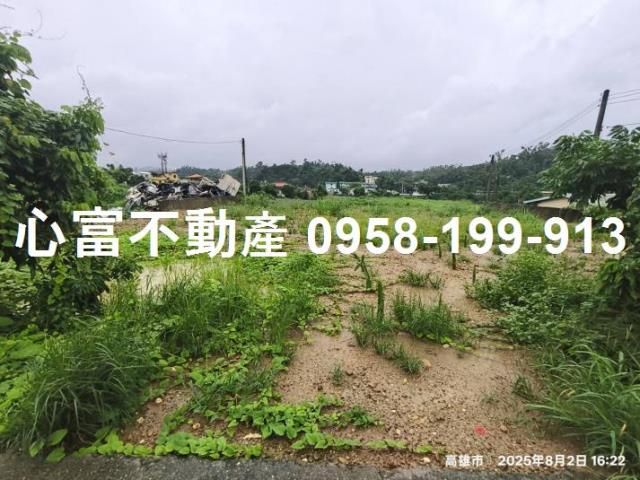 大樹農地-2
