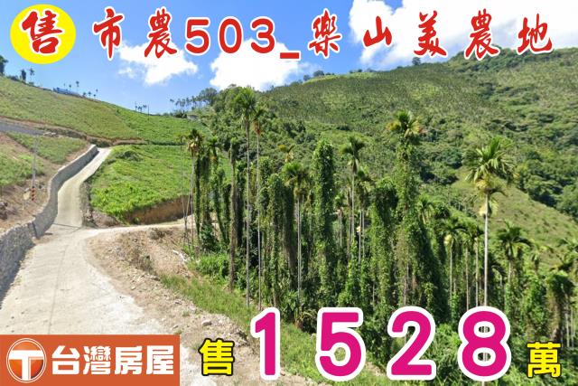 台東太麻里農地-1