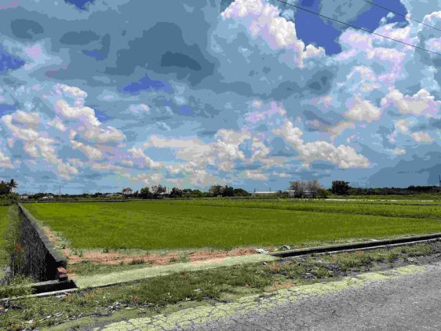 台南新化農地-2