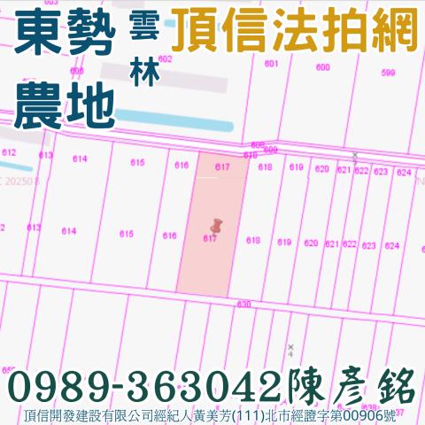 東勢鄉農地法拍-5