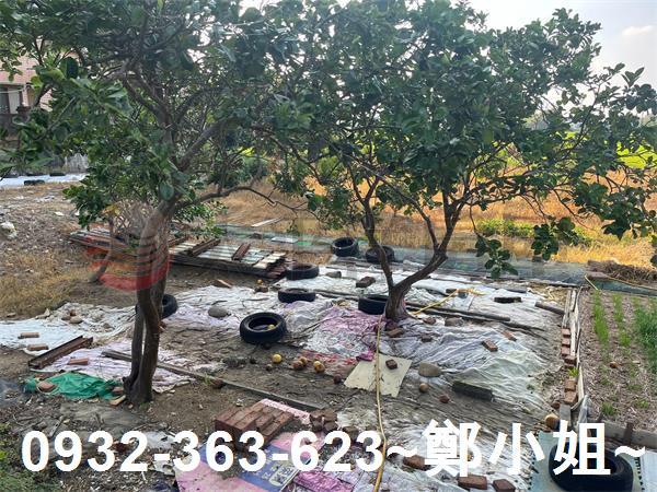 桃園農地-2