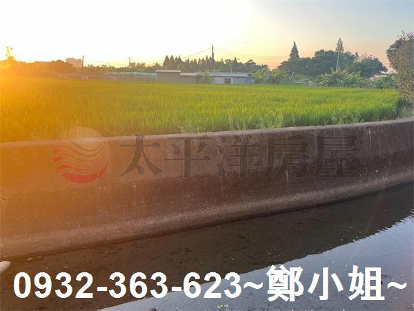 桃園農地-5