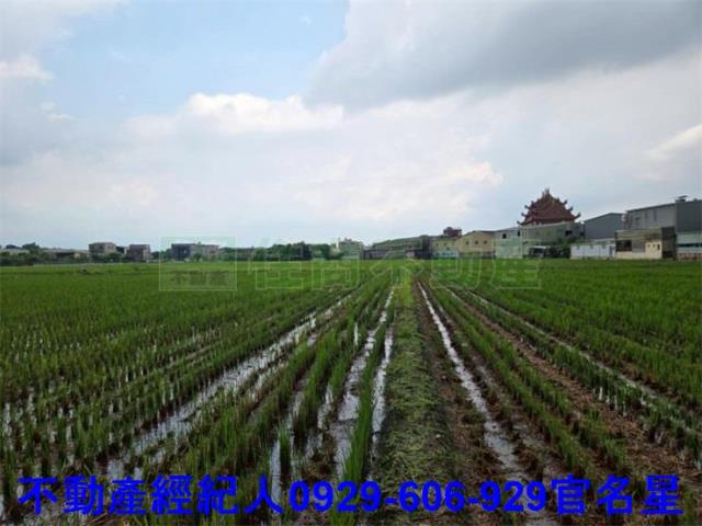 嘉義農地-4