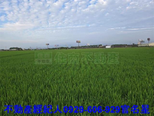 嘉義西區農地-1