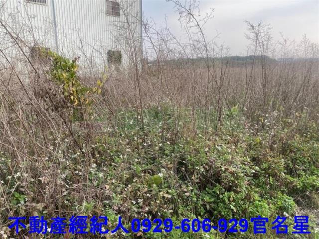 嘉義西區農地-3