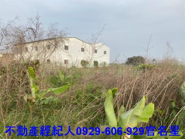 嘉義西區農地-5