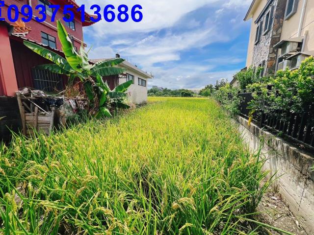 宜蘭壯圍農地-12