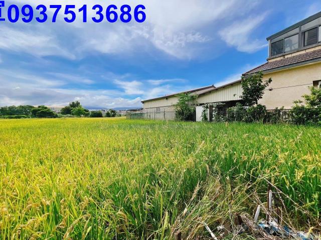 宜蘭壯圍農地-2