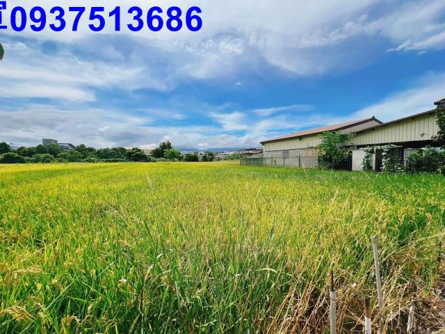 宜蘭壯圍農地-9