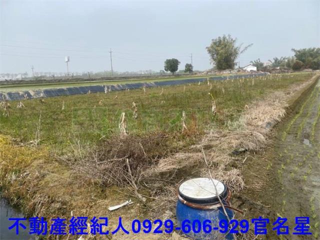 嘉義西區農地-4