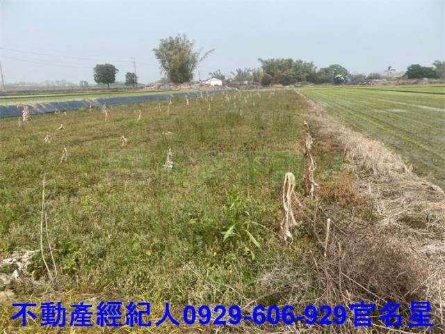 嘉義西區農地-5