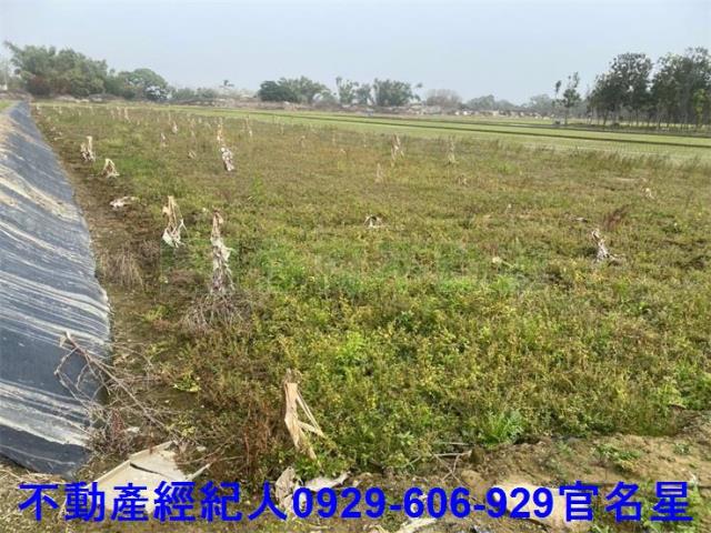 嘉義西區農地-6