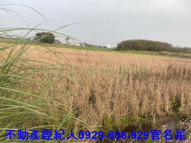 嘉義西區農地-2