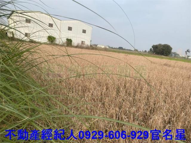 嘉義西區農地-3