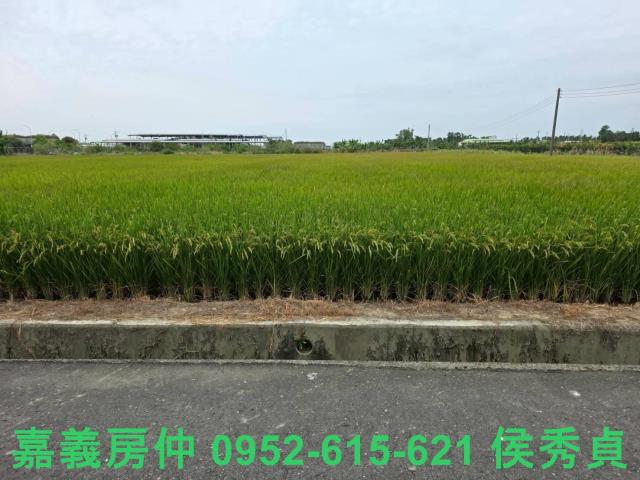 嘉義水上農地-2