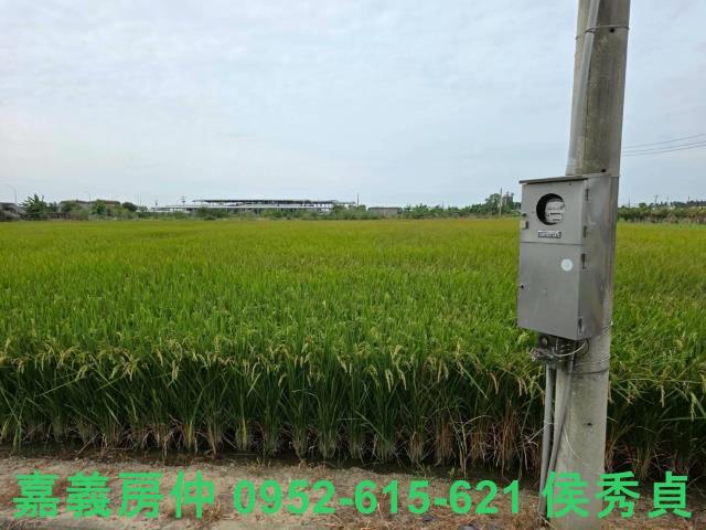 嘉義水上農地-3