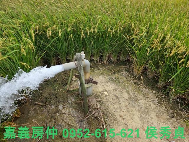 嘉義水上農地-4