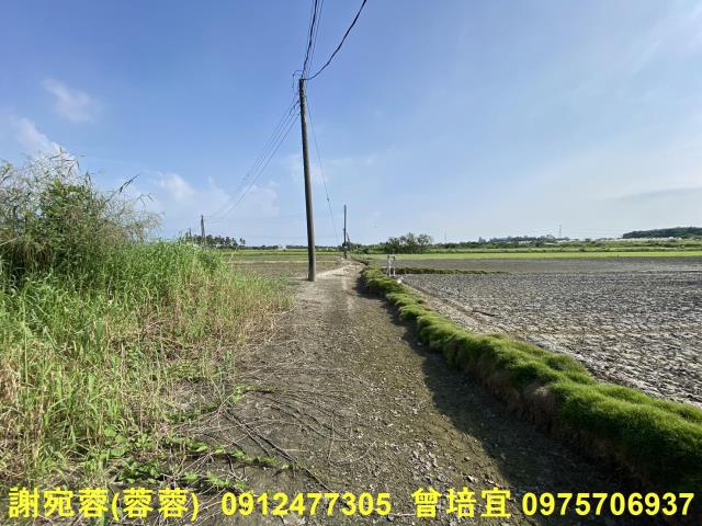 路竹農地-8