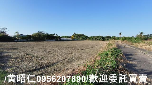 佳里農地-10