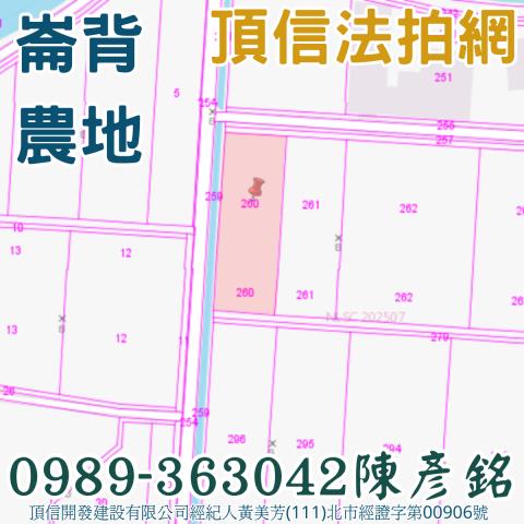 崙背農地法拍-4