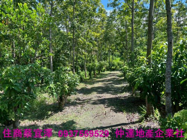 台南南化山坡地-8