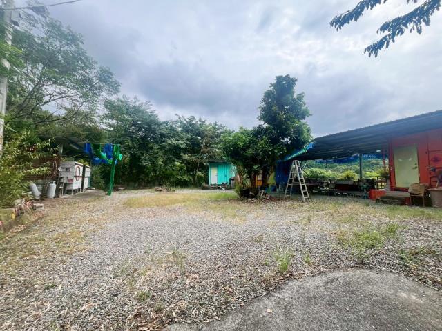 南投中寮農地-1