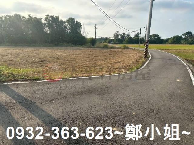 桃園大園農地-9